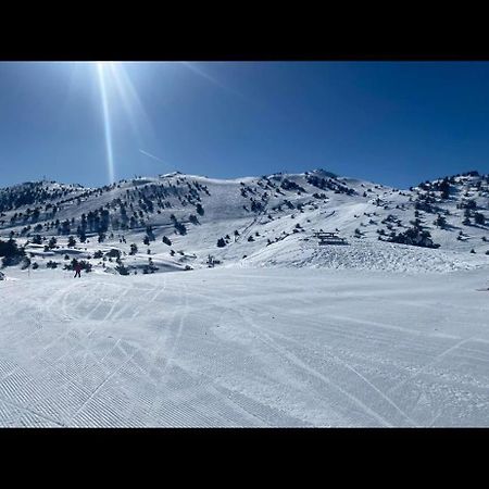 U061 - Grand Studio Renove - Vue Montagne Greolieres Eksteriør bilde